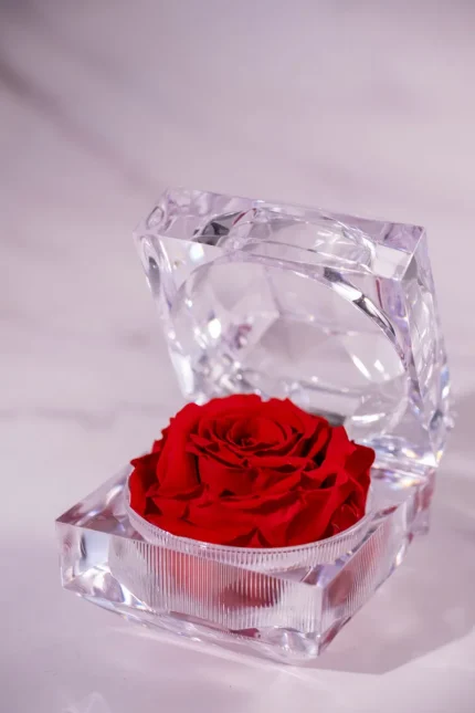 forevered-amour-rose