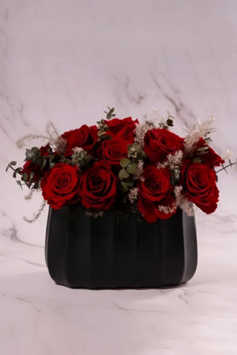 forevered-curved-elegance-noir-img