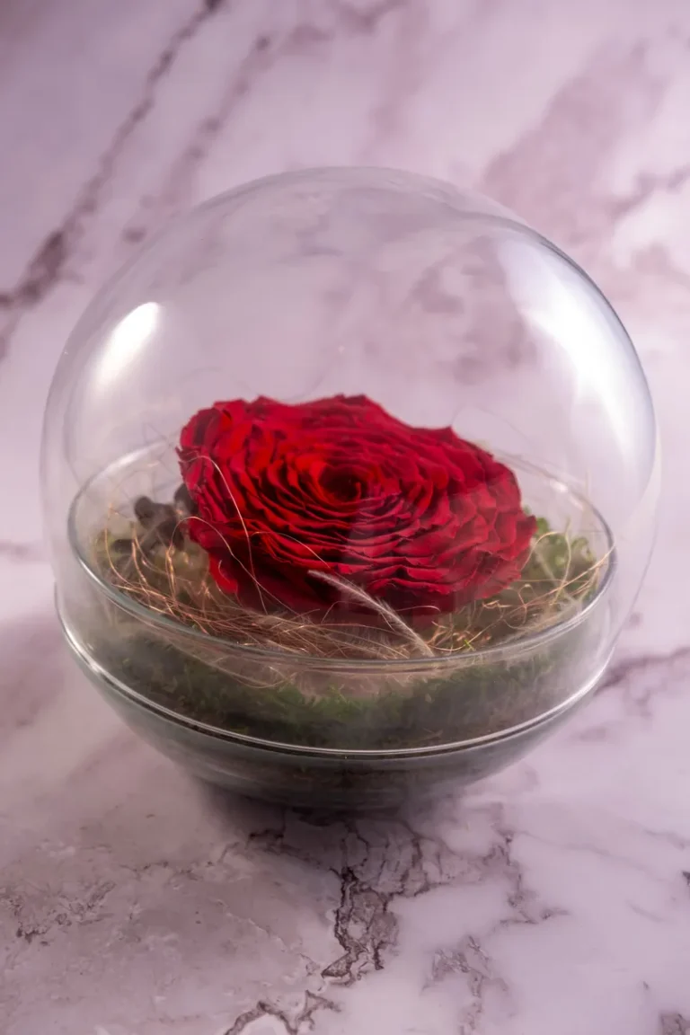 forevered-la-rose-royale