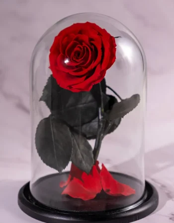 forevered-red-obsession