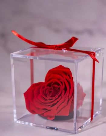 forevered-ribbon-heart-cube