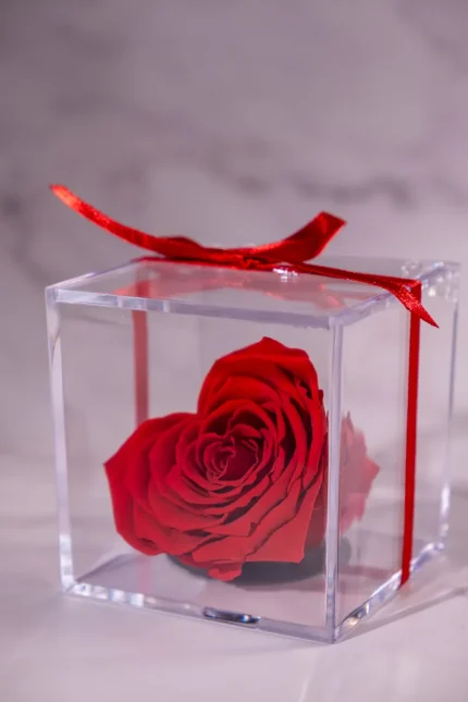 forevered-ribbon-heart-cube