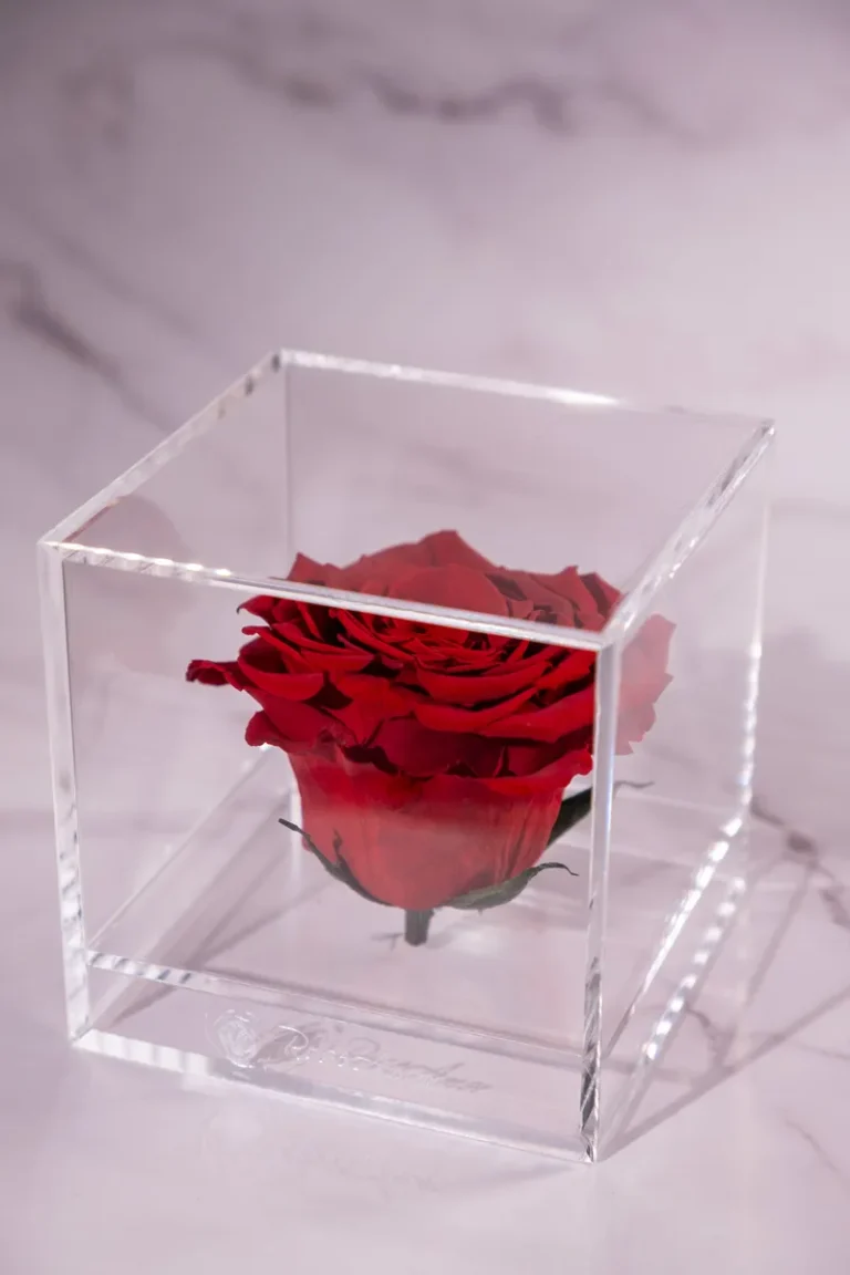 forevered-rose-cube