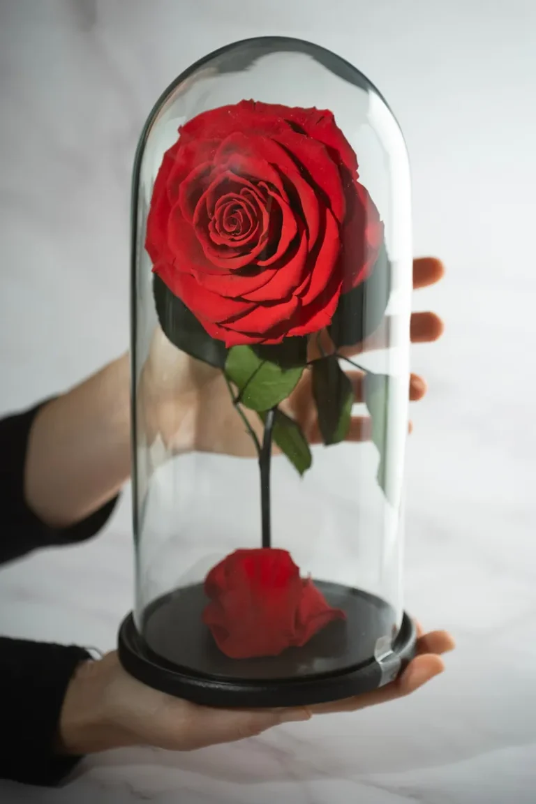 forevered-the-beauty-and-the-beast-2