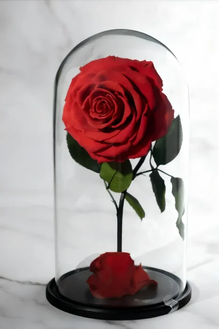 forevered-the-beauty-and-the-beast-img