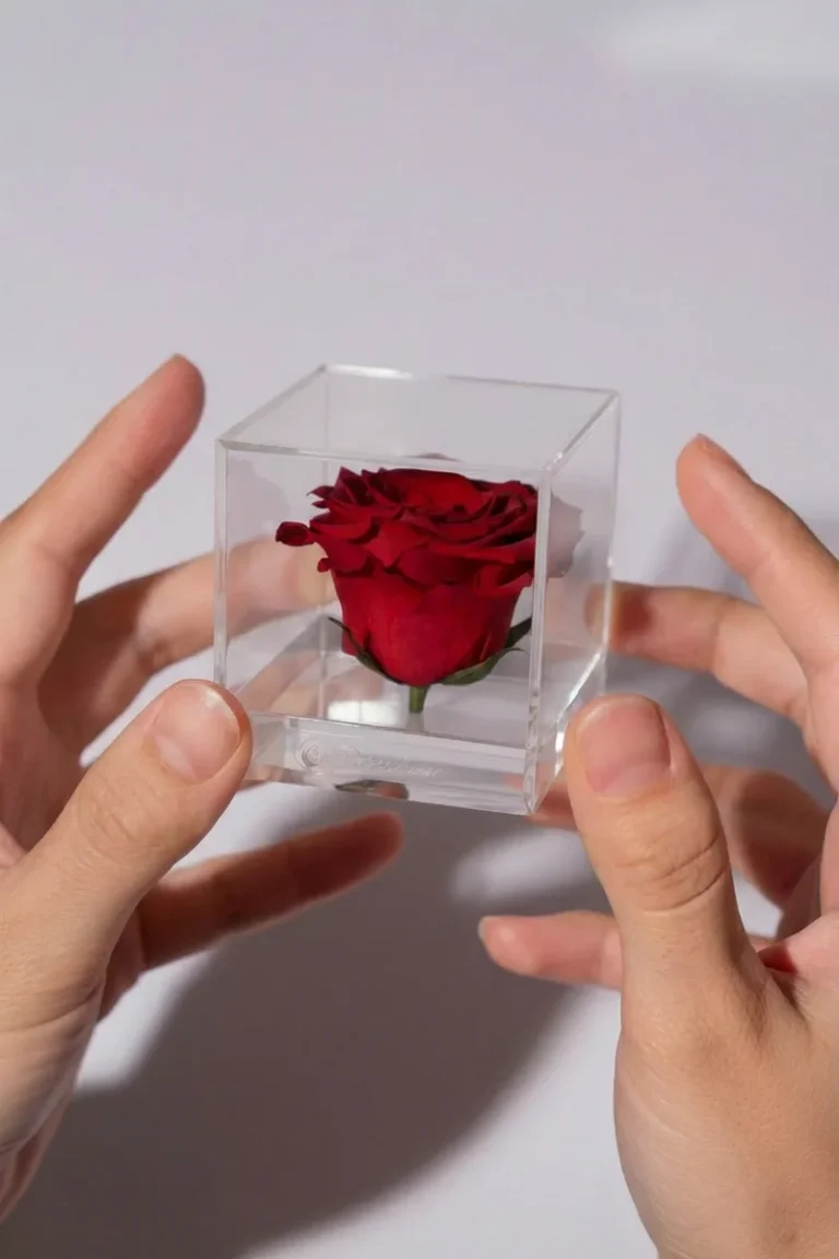 rose-cube-2