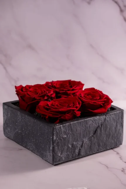 Stone-Desire