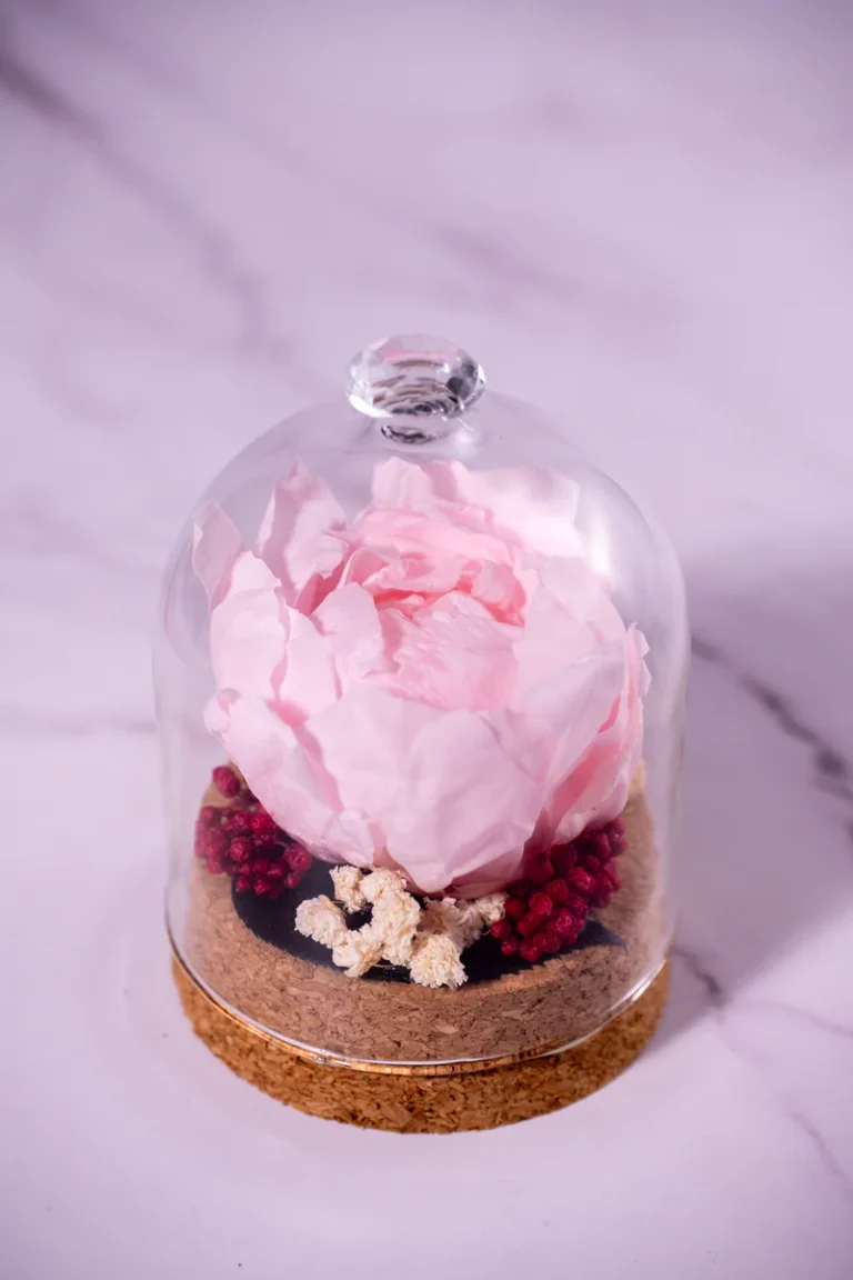 blush-peony