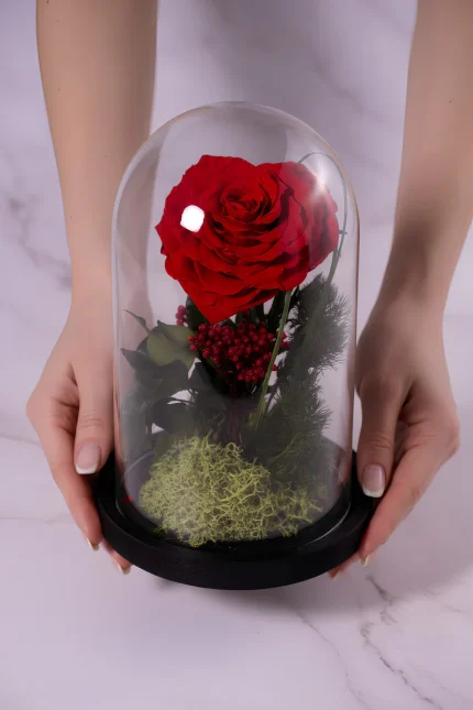 crimson-heart-2