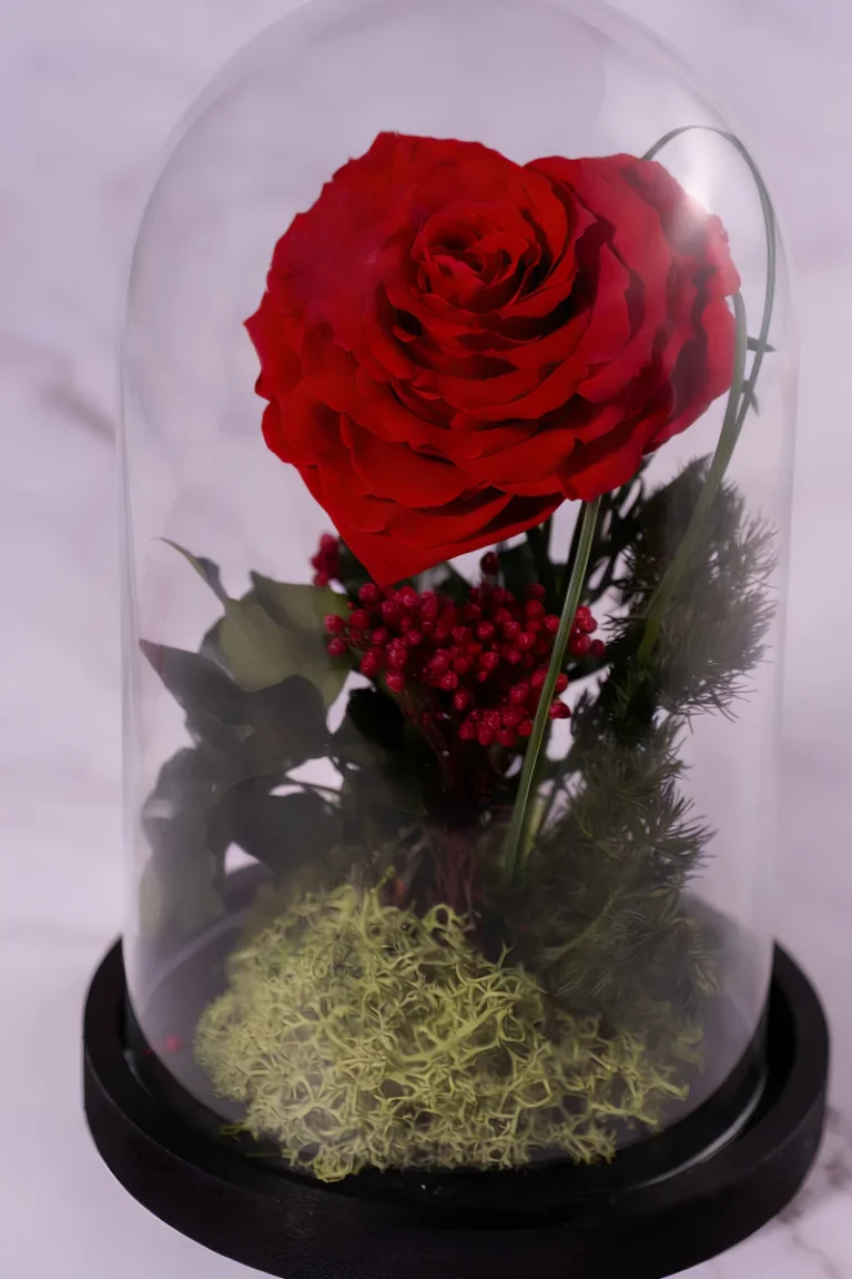 crimson-heart