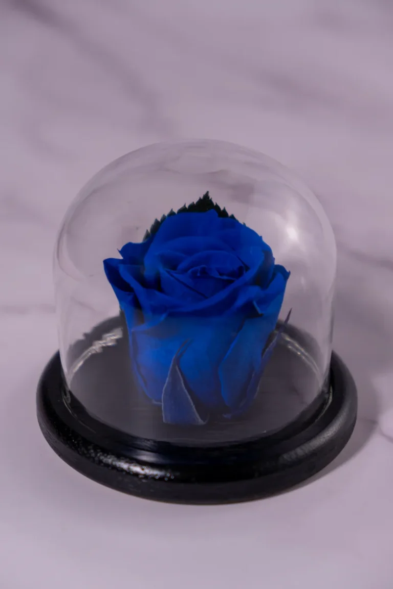 forever-within-blue