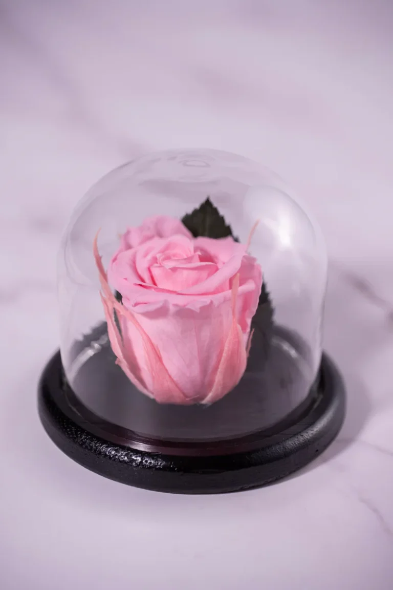 forever-within-pink