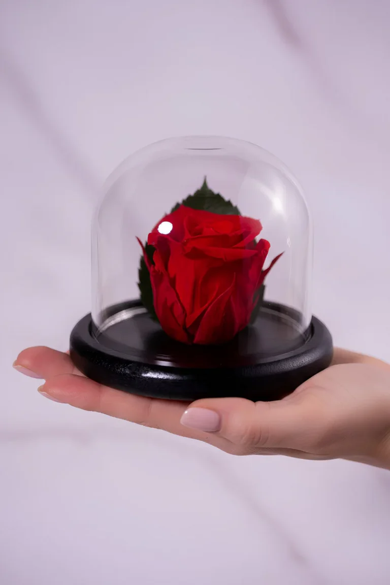 forever-within-red-2