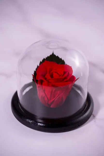 forever-within-red